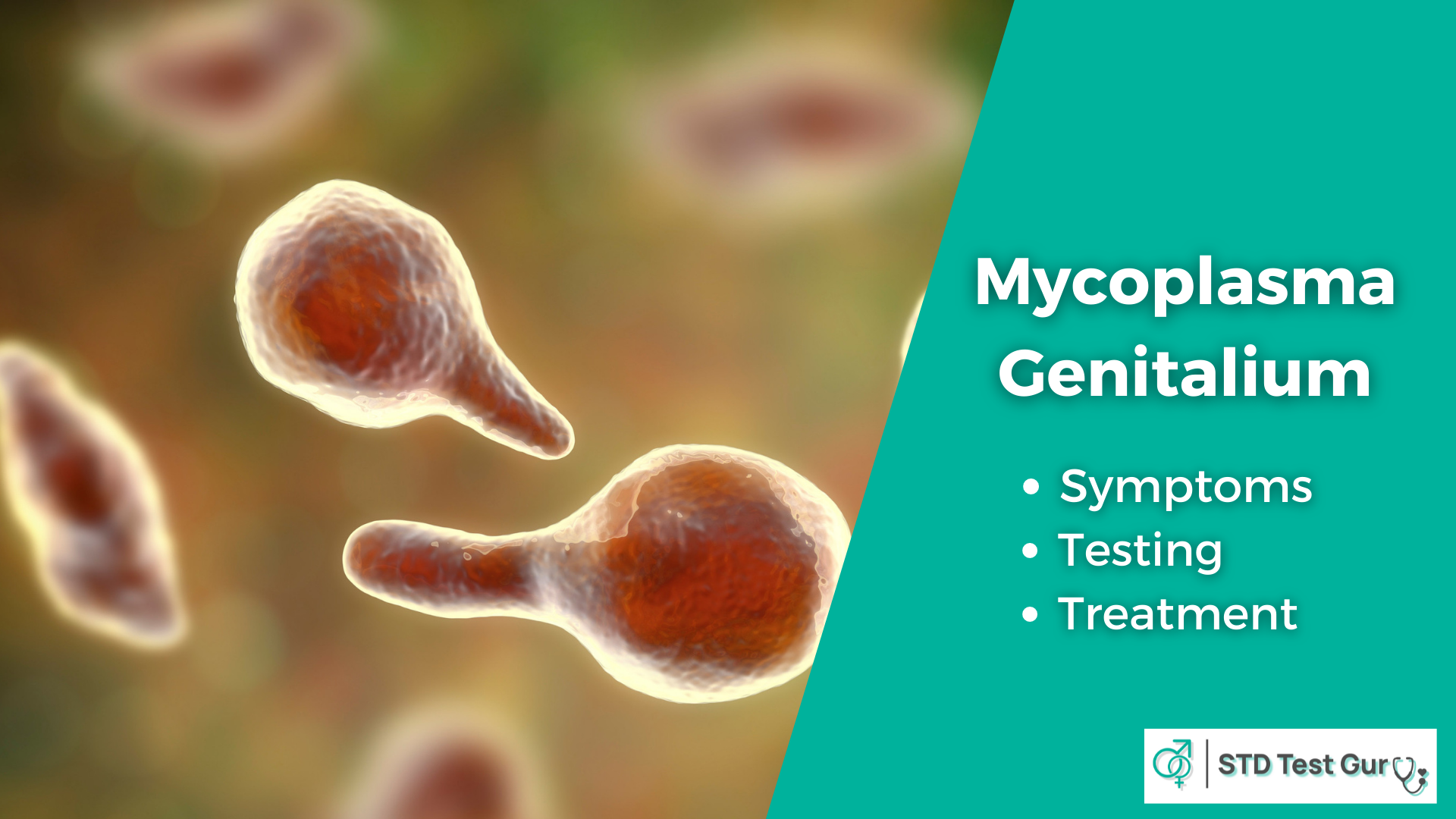 Mycoplasma Genitalium - STDTestGuru